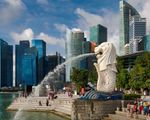 Singapore cấm du khách nhập cảnh từ hầu hết các nước Nam Á