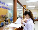 Người dân, doanh nghiệp làm gì để được gia hạn nộp thuế, tiền thuê đất năm 2021?