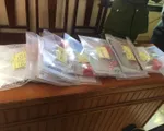 Mua giấy tờ giả, chiếm đoạt hàng tỷ đồng từ ngân hàng