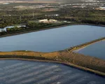 Hàng tỷ lít nước thải độc hại có thể sớm tràn ra vịnh Tampa, Florida