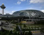 Sân bay Changi trở thành ổ dịch lớn nhất, Singapore siết chặt phòng dịch