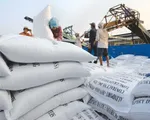 Philippines giảm thuế nhập khẩu gạo để đảm bảo an ninh lương thực