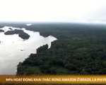 94% hoạt động khai thác rừng Amazon ở Brazil là phi pháp
