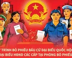 [INFOGRAPHIC] Quy trình bỏ phiếu bầu cử đại biểu Quốc hội và đại biểu HĐND các cấp tại phòng bỏ phiếu