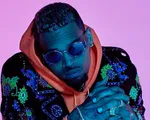 Chris Brown bị buộc tội hành hung phụ nữ tại nhà riêng