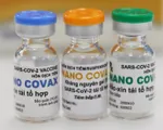 Vaccine Nano Covax của Việt Nam có an toàn và được cấp phép khẩn cấp hay không?