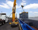 Kinh tế Việt Nam vững vàng giữa đại dịch