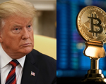 Bitcoin lao dốc sau khi bị ông Trump gọi là “trò lừa đảo”