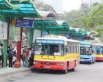 Giảm tần suất hoạt động xe bus do dịch