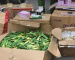 Triệt phá cơ sở sản xuất mỹ phẩm giả các nhãn hiệu nổi tiếng