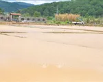 Mưa lũ gây nhiều thiệt hại tại Lâm Đồng