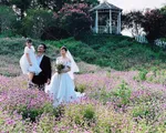'Mùa hoa tìm lại' kết thúc, Thanh Hương tung ảnh đám cưới hạnh phúc của Lệ - Đồng