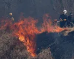 Cháy rừng tàn phá hàng trăm nghìn ha đất nông nghiệp ở Bolivia