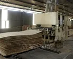 Ấn Độ không áp thuế chống bán phá giá gỗ MDF nhập khẩu từ Việt Nam