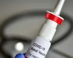 Vaccine COVID-19 dạng “xịt” có hiệu quả như thế nào?