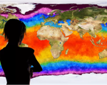 Biến đổi khí hậu có thể khiến loài người tuyệt chủng?