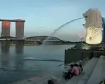 Singapore công nhận vaccine của Sinovac, Sinopharm, AstraZeneca