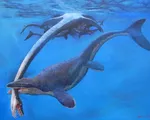 Khủng long Mosasaur - 'quái vật biển' dài hơn 5m thống trị đại dương cổ đại