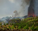 Núi lửa La Palma phun trào: Hàng nghìn người phải sơ tán, nhiều ngôi nhà “mất tích” dưới dòng dung nham