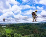 Gấp rút chuẩn bị giải tỏa công suất các dự án điện gió sắp vận hành thương mại