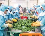 Ngành nông nghiệp kiến nghị Chính phủ hỗ trợ khôi phục sản xuất