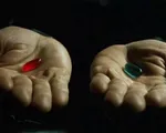 Những tựa phim đình đám của Hollywood xem đi xem lại vẫn hút