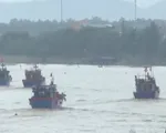 3 tàu cá được cho là mất tích đã vào nơi tránh trú an toàn