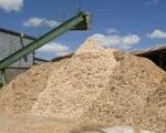 Xuất khẩu dăm gỗ đạt hơn 1 tỷ USD trong 7 tháng