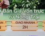 Kết nối sàn thương mại để tiêu thụ nông sản