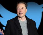Elon Musk: Đừng bị làm phiền vì sự điên cuồng của thị trường chứng khoán