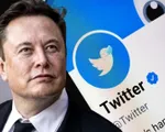 Tương lai của Twitter dưới thời Elon Musk