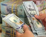 Chính phủ yêu cầu có giải pháp hạn chế chuyển tài sản bằng VND sang ngoại tệ