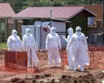 Căng thẳng trong tâm dịch Ebola ở châu Phi