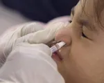 Australia phát triển vaccine ngừa COVID-19 dạng nhỏ mũi