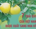 7 trái cây của Việt Nam được xuất sang Hoa Kỳ