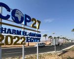 Hơn 100 nguyên thủ quốc gia tham dự Hội nghị thượng đỉnh về khí hậu (COP27)