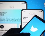 Twitter chính thức thu phí đối với 'tài khoản tích xanh'