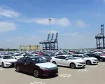 Kỷ lục: Một tháng nhập khẩu gần 23.000 ô tô vào Việt Nam