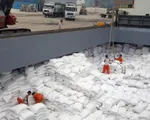 Giá gạo xuất khẩu tăng tuần thứ 3 liên tiếp