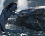 'Avatar: The Way of Water' là câu chuyện về gia đình, một hành trình phiêu lưu xúc động