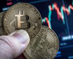 Bitcoin có thể mất tất cả giá trị trước cuối năm nay