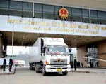 100 tấn thanh long được xuất khẩu qua cửa khẩu Kim Thành đầu năm mới