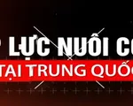 V&igrave; sao giới trẻ tại Trung Quốc c&oacute; xu hướng ngại sinh con?