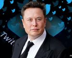 CEO Twitter lo sợ tương lai đen tối dưới thời Elon Musk