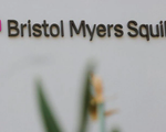 Mỹ phê duyệt thuốc điều trị bệnh tim đường uống của Bristol Myers