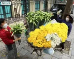 Hà Nội: Hoa loa kèn xuống phố, báo hiệu mùa hè sắp tới