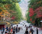 Nhật Bản công bố 'du lịch thử nghiệm' có giới hạn từ tháng 5, chuẩn bị mở cửa trở lại hoàn toàn