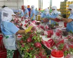 Xuất khẩu nông sản 4 tháng đạt gần 18 tỷ USD