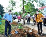 TP Thủ Đức: Trồng 500 cây xanh chào mừng Kỷ niệm 132 năm Ngày sinh Chủ tịch Hồ Chí Minh