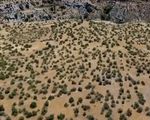 Sa mạc hóa - thách thức của biến đổi khí hậu